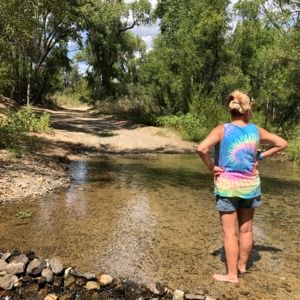 Meet your Posher, Dawn renee